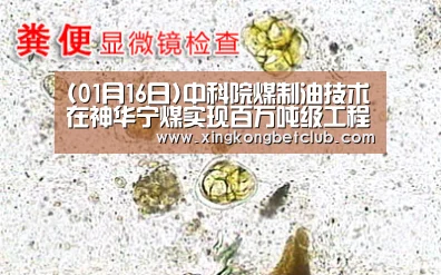 (01月16日)中科院煤制油技术在神华宁煤实现百万吨级工程应用:星空体育(图2) 星空百家乐