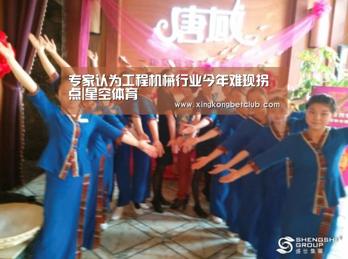专家认为工程机械行业今年难现拐点|星空体育(图2) 星空百家乐