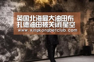 英国北海最大油田布扎德油田被关闭|星空APP(图3) 星空体育