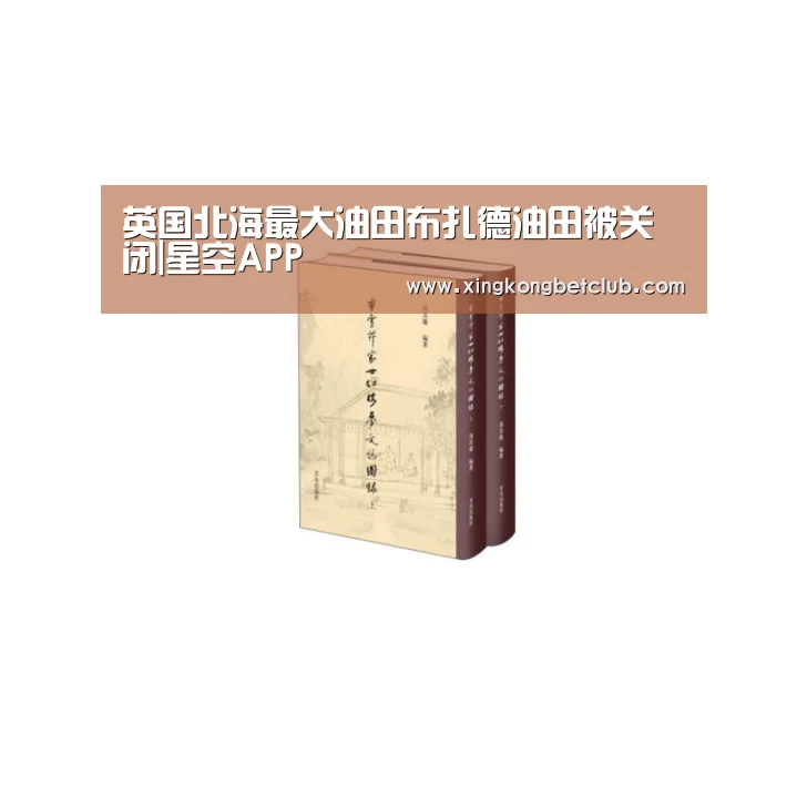 英国北海最大油田布扎德油田被关闭|星空APP(图2) 星空体育