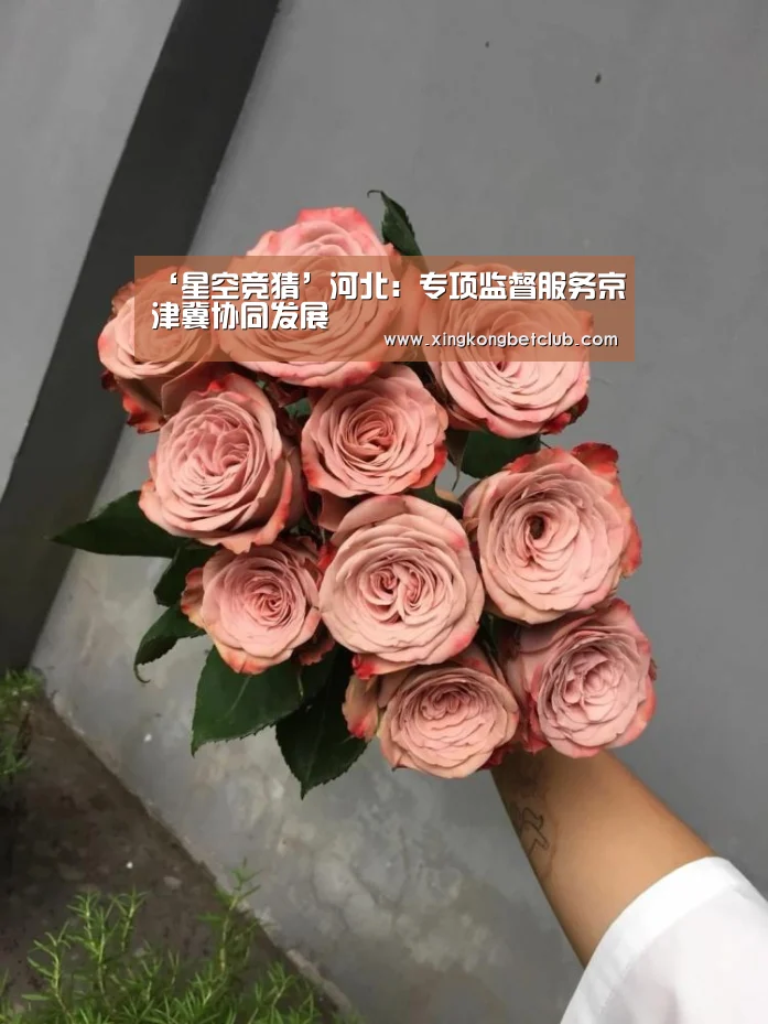 ‘星空竞猜’河北:专项监督服务京津冀协同发展(图1) 星空体育