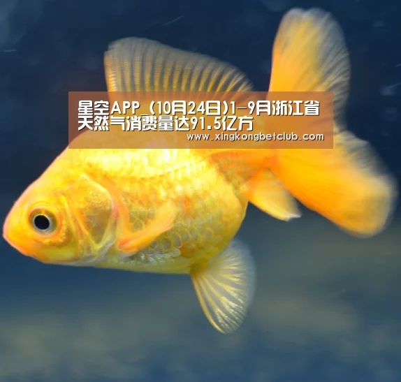 星空APP_(10月24日)1-9月浙江省天然气消费量达91.5亿方(图3) 星空百家乐