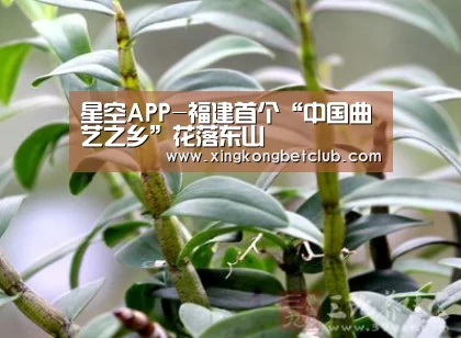 星空APP-福建首个“中国曲艺之乡”花落东山(图3) 星空APP